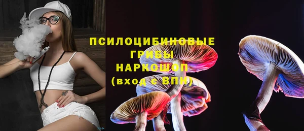 спиды Пересвет