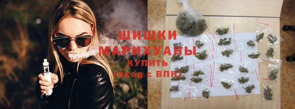 молекула духа Переславль-Залесский