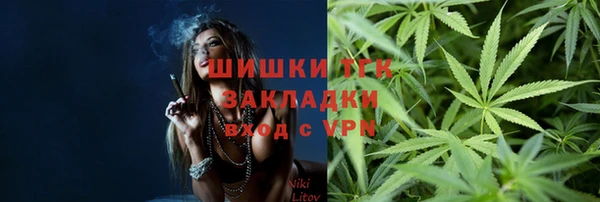 спиды Пересвет