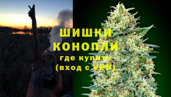 спиды Пересвет