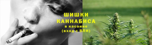 спиды Пересвет