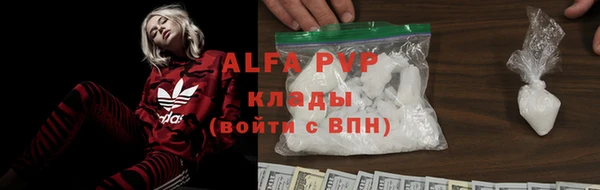 молекула духа Переславль-Залесский