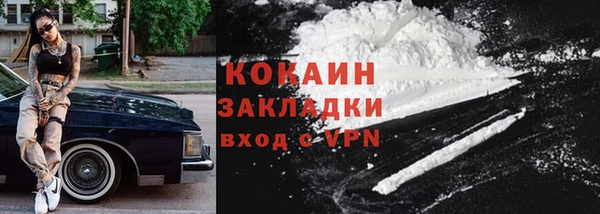 спиды Пересвет