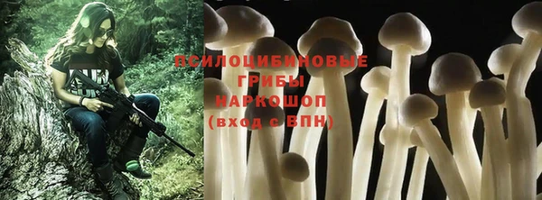 молекула духа Переславль-Залесский