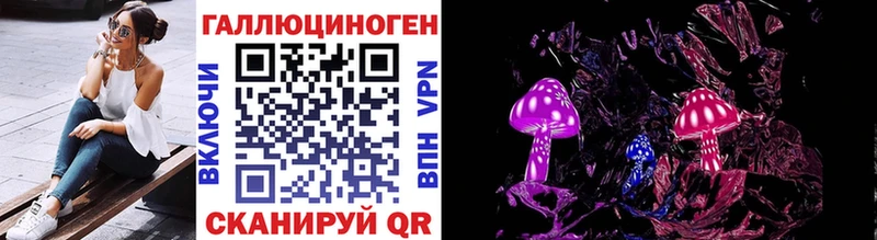 Псилоцибиновые грибы Psilocybe Сорск